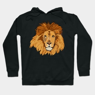 Lion Pattern Hoodie